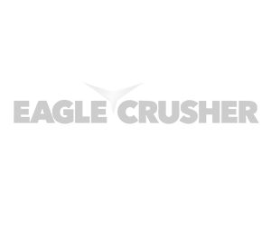 Customer_Eagle2